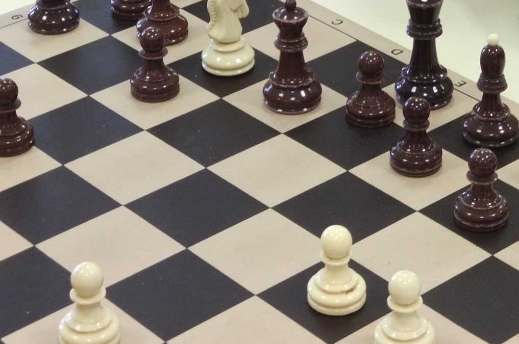 Rezultati področnega šahovskega prvenstva